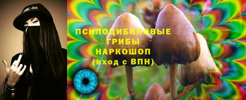 OMG зеркало  Хвалынск  Псилоцибиновые грибы Psilocybine cubensis 